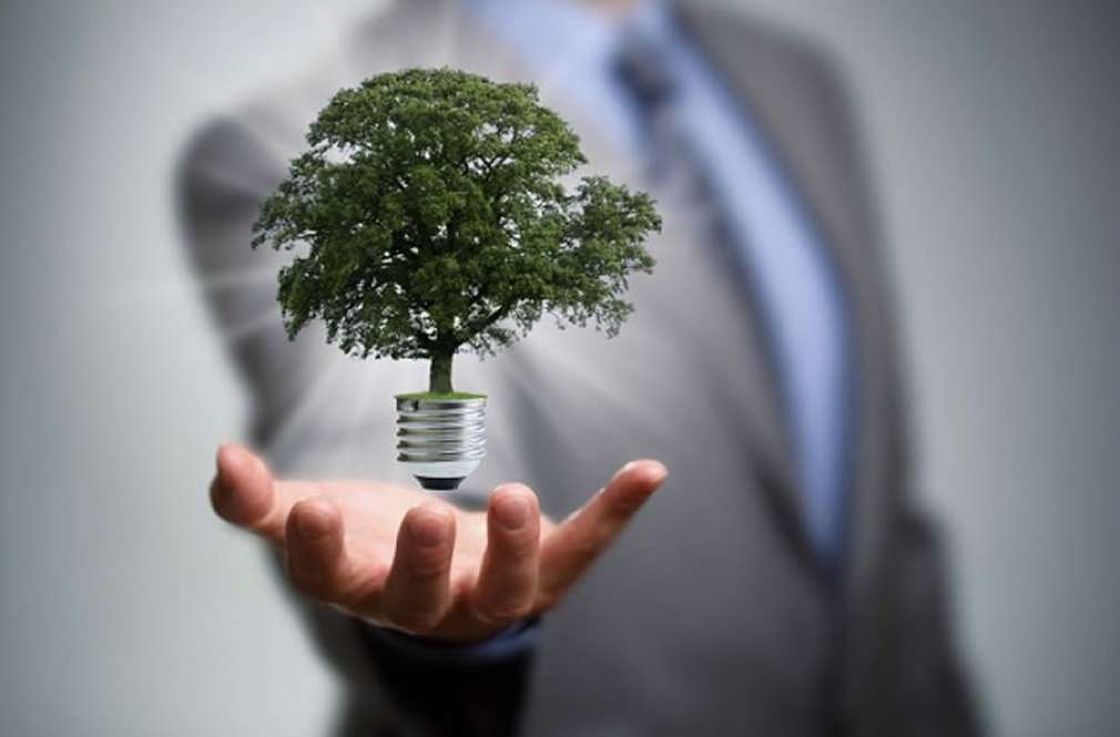 Sustentabilidade empresarial: 5 dicas para se tornar uma empresa consciente