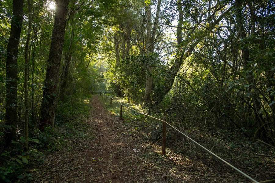  Cr&eacute;ditos: divulga&ccedil;&atilde;o Urbia+Cataratas