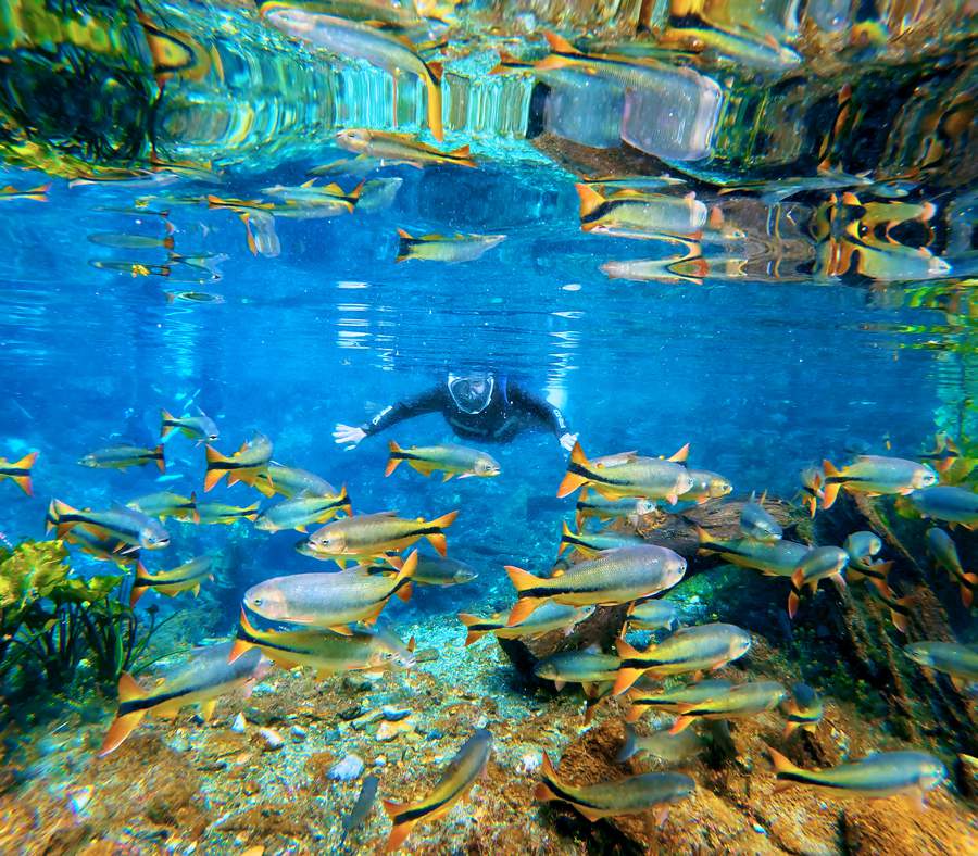 Foto por divulgação Nascente Azul