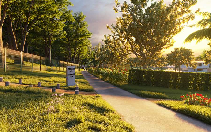 Ruas de pedestre Plateau d'Or - Divulga&ccedil;&atilde;o