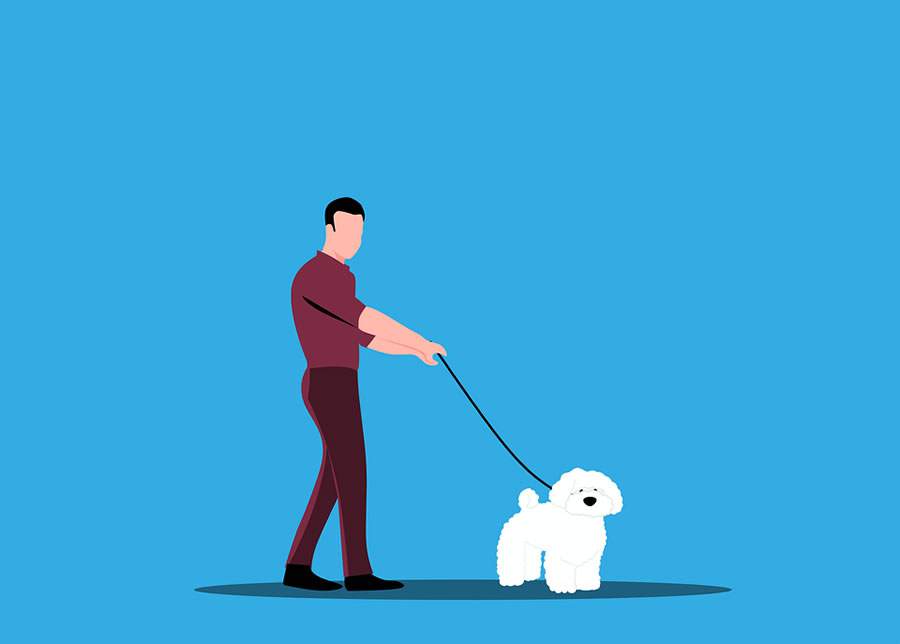 Cr&eacute;dito: pixabay.com_CC0 Creative Commons