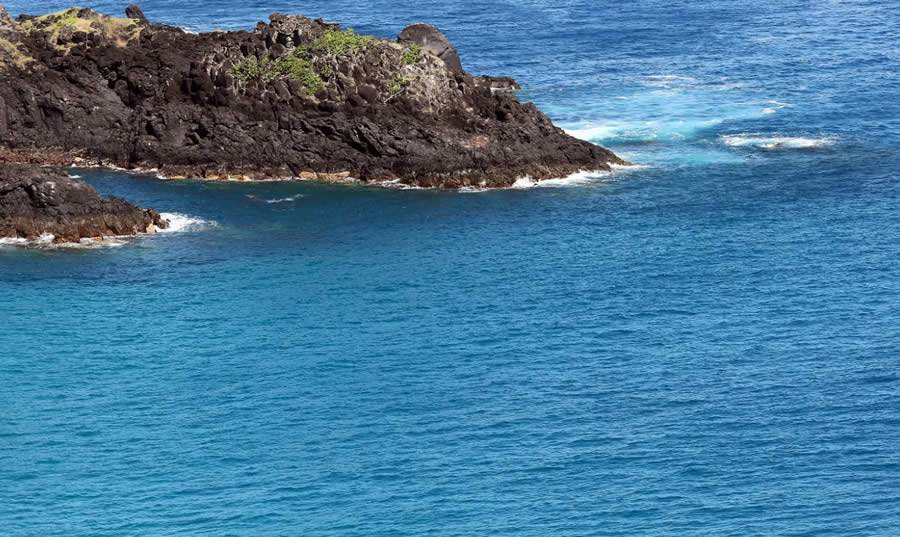 Foto: Divulga&ccedil;&atilde;o