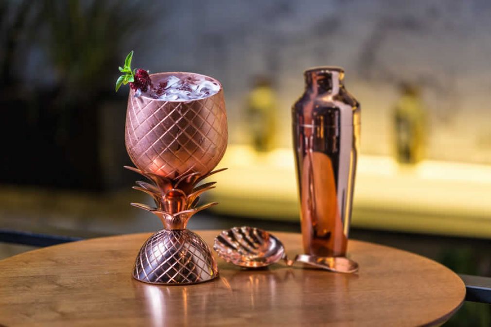 Drink refrescante de cranberry, hibisco e manjeric&atilde;o