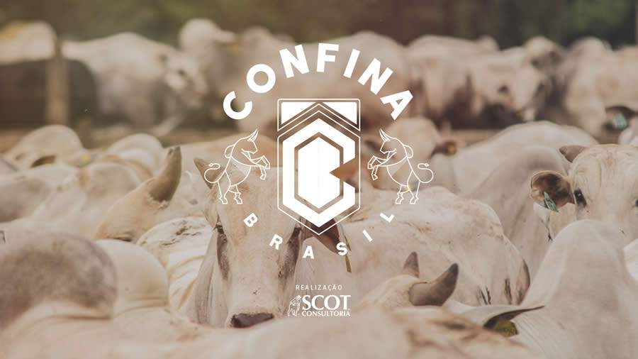 Scot Consultoria realiza o primeiro Confina Brasil