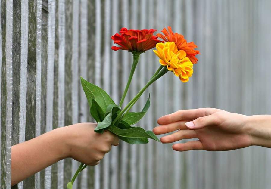 Cr&eacute;dito: Divulga&ccedil;&atilde;o