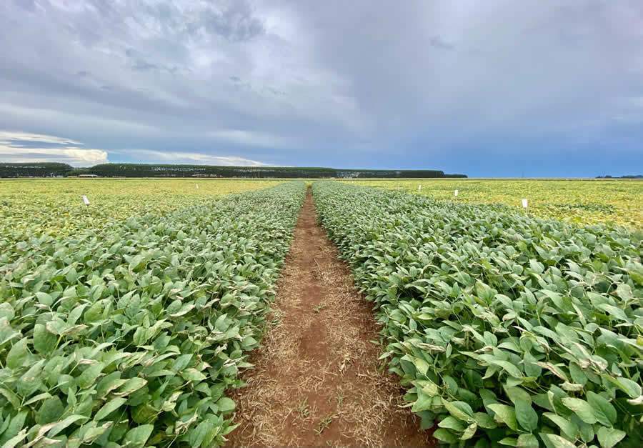 BIOTROP-empresas-do-agronegocio-buscam-estabelecer-compromissos-ESG-FOTO-DIVULGACAO