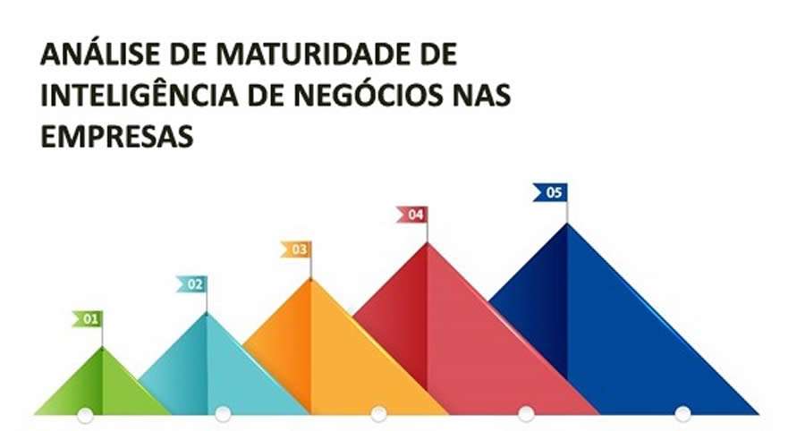 Maturidade em Intelig&ecirc;ncia de Neg&oacute;cios
