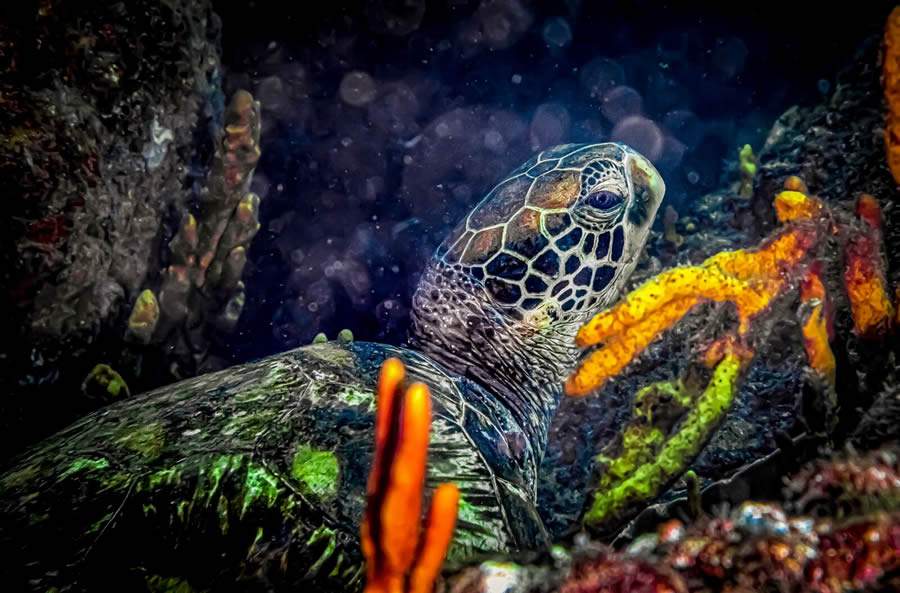 Divulgação/Visit Panamá