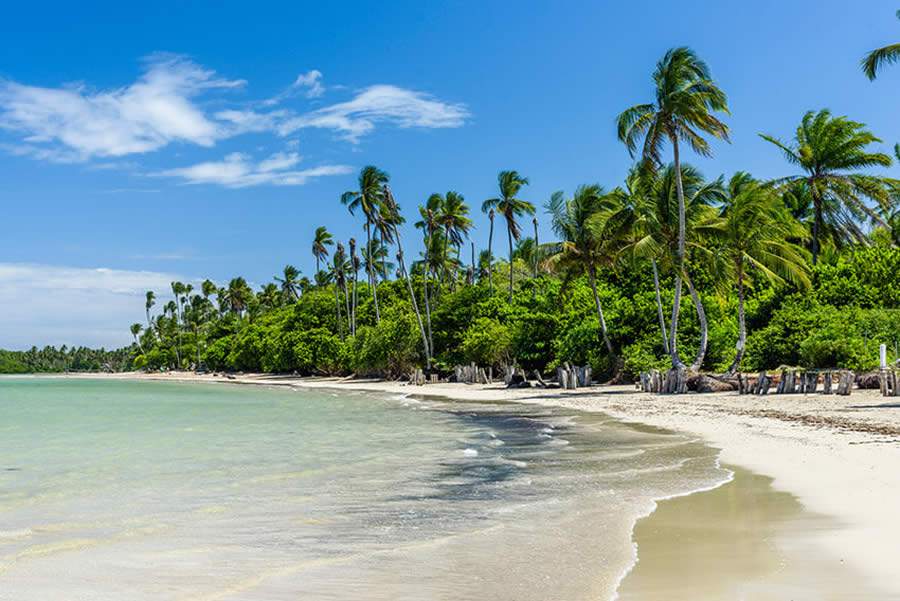 Viagens em grupo na pandemia