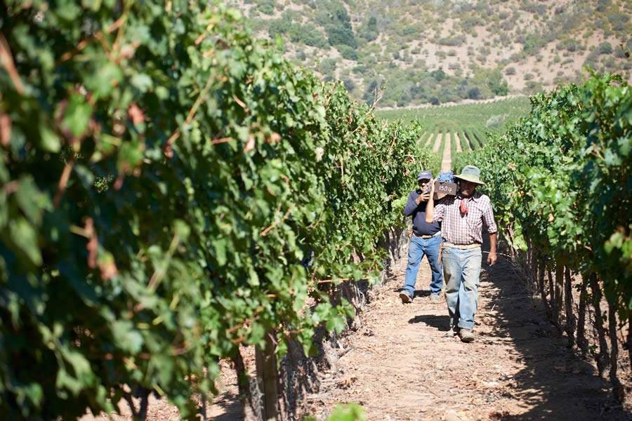 Chile - Cr&eacute;dito: Divulga&ccedil;&atilde;o