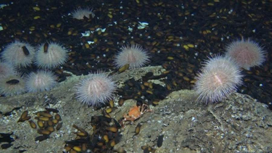 A descoberta do Hotspot do Mar Mediterr&acirc;neo pode transformar nossa compreens&atilde;o das mudan&ccedil;as clim&aacute;ticas