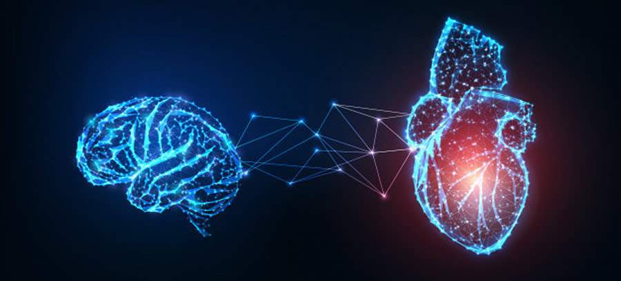 As 5 maneiras como seu c&eacute;rebro reage aos conflitos