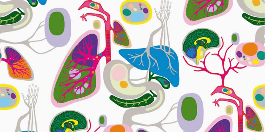 Problemas na tireoide podem ser causados pelos impactos da vida