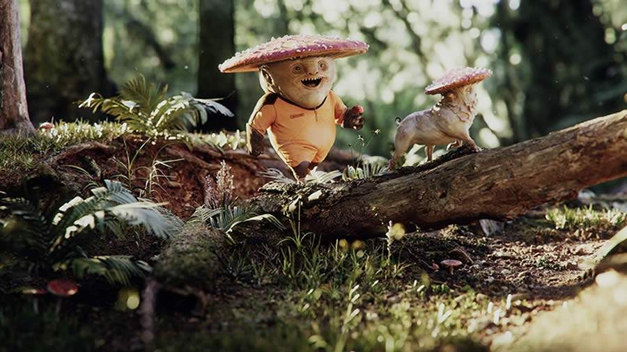 Divulga&ccedil;&atilde;o