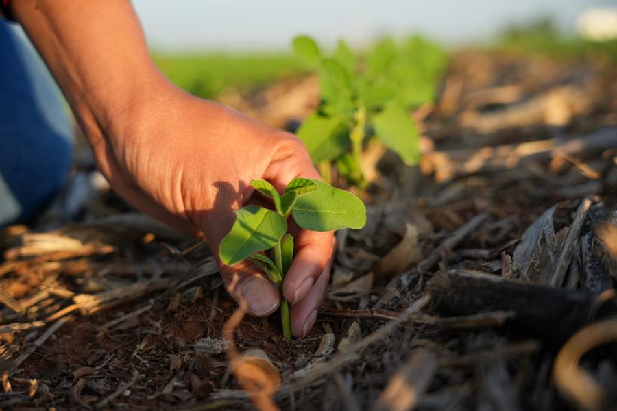 ORÍGEO leva soluções sustentáveis e de alta eficiência a agricultores do Mato Grosso, no Dinetec