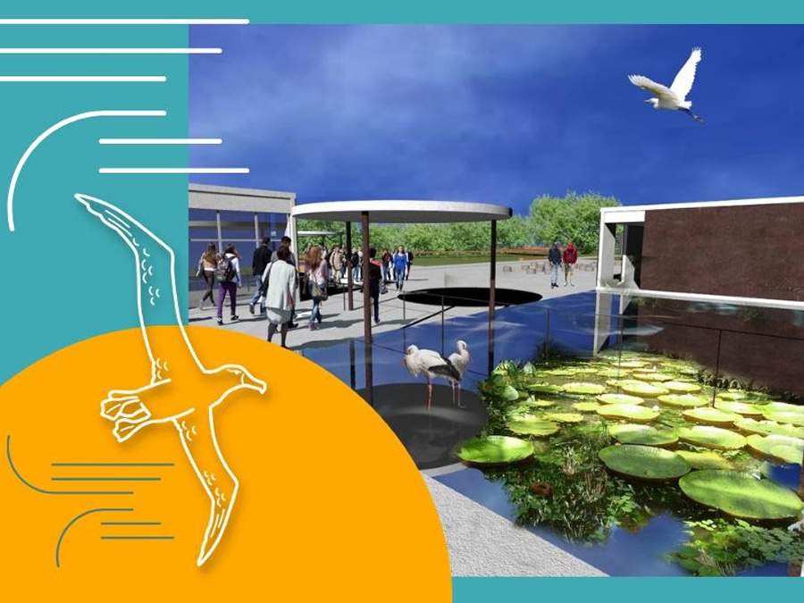 Projeto Albatroz d&aacute; in&iacute;cio &agrave; constru&ccedil;&atilde;o de centro de visita&ccedil;&atilde;o em Cabo Frio