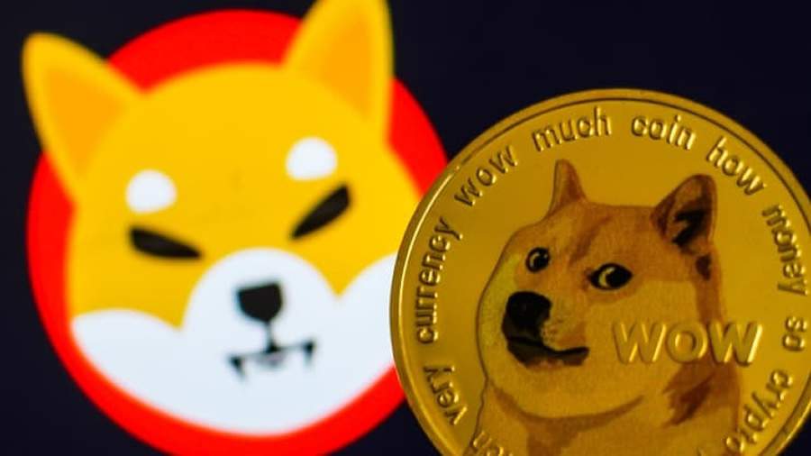 Tokens Shiba Inu e Dogecoin