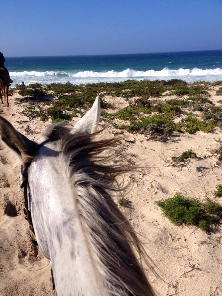 Pequenos luxos para desfrutar no Alentejo