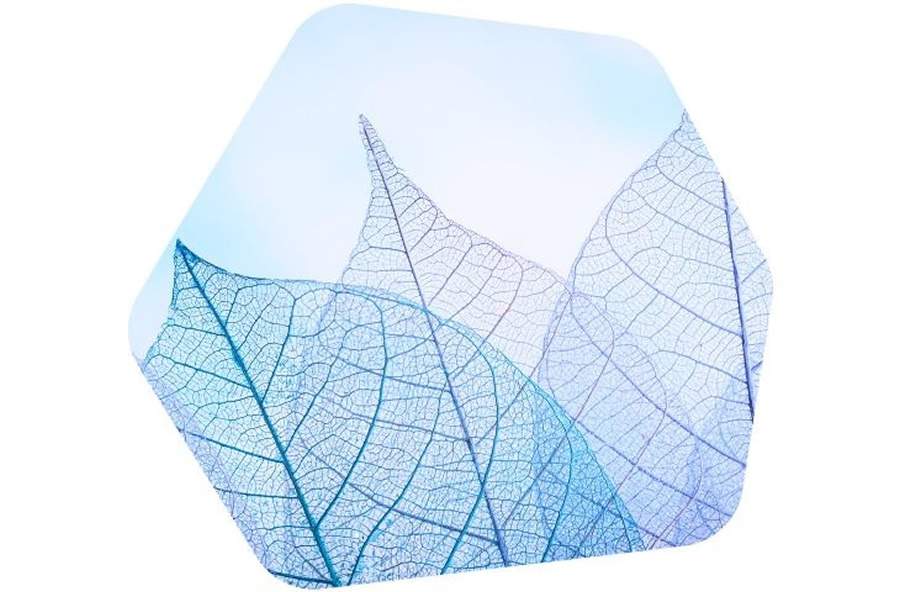 Kaspersky publica primeiro Relat&oacute;rio de Transpar&ecirc;ncia