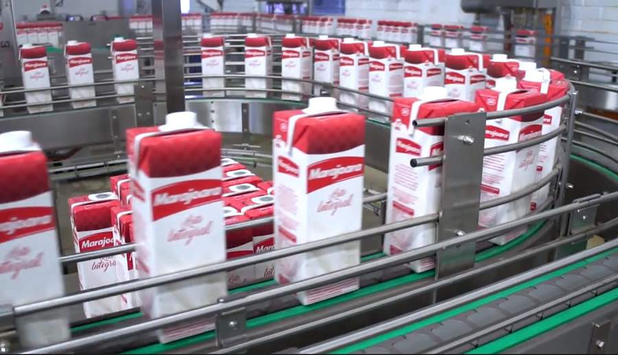 Marajoara Laticínios abre novas vagas de emprego para Veterinários e Zootecnistas - Divulgação