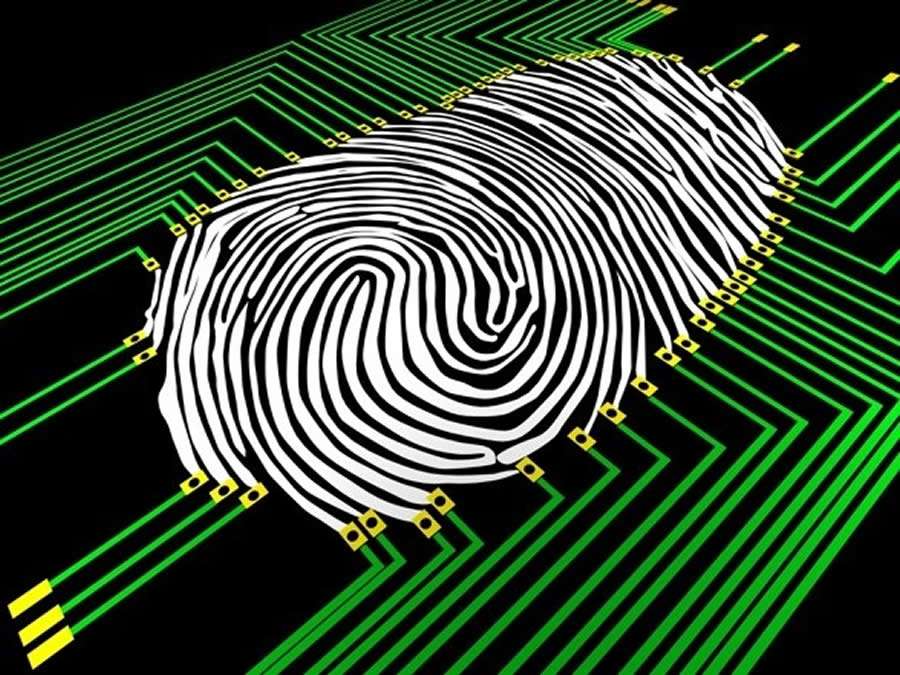 Lei de Proteção de Dados impõe novos comportamentos a usuários e empresas