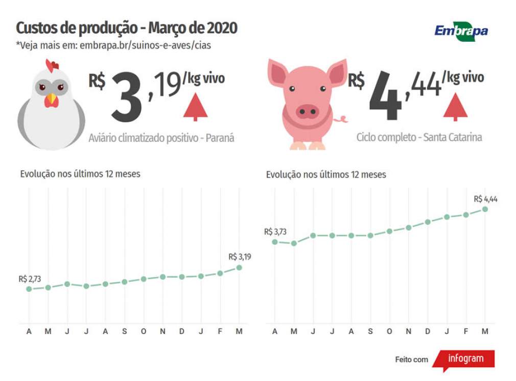 Custos de produção de frangos de corte e de suínos já subiram mais de 6% em 2020