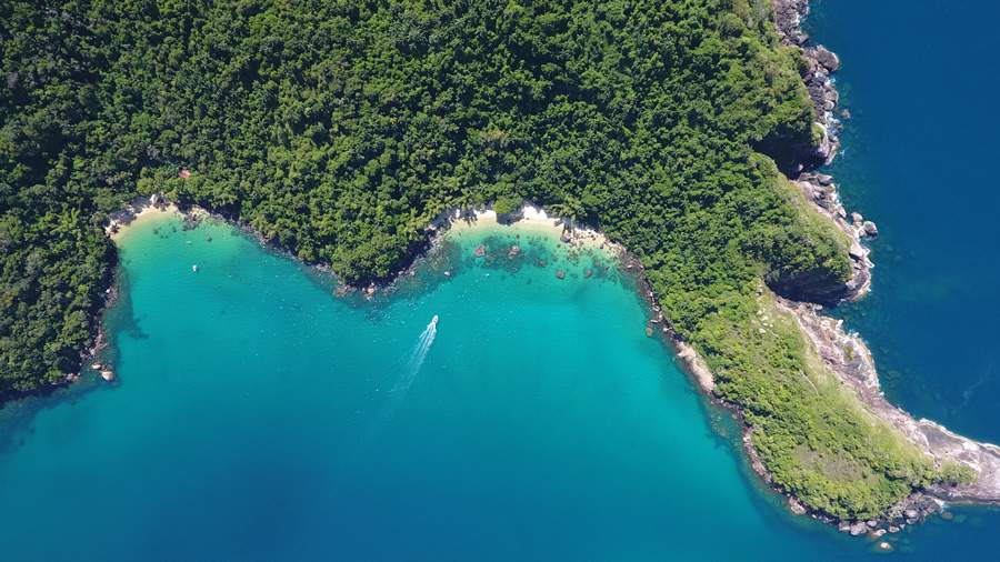 Bruno Amir Dacier Lobato de Almeida - Ilha das Couves