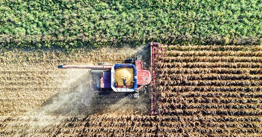 O agroneg&oacute;cio representa 23,2% do PIB nacional. Cr&eacute;ditos da Imagem: Canva