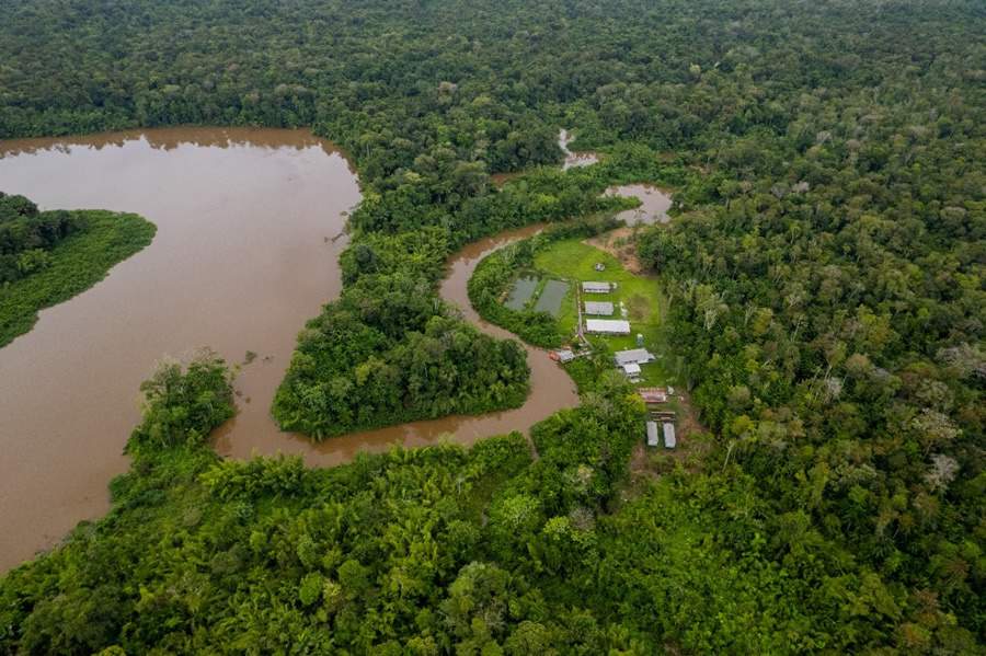 &Aacute;rea certificada, Amaz&ocirc;nia - Banco de imagens FSC