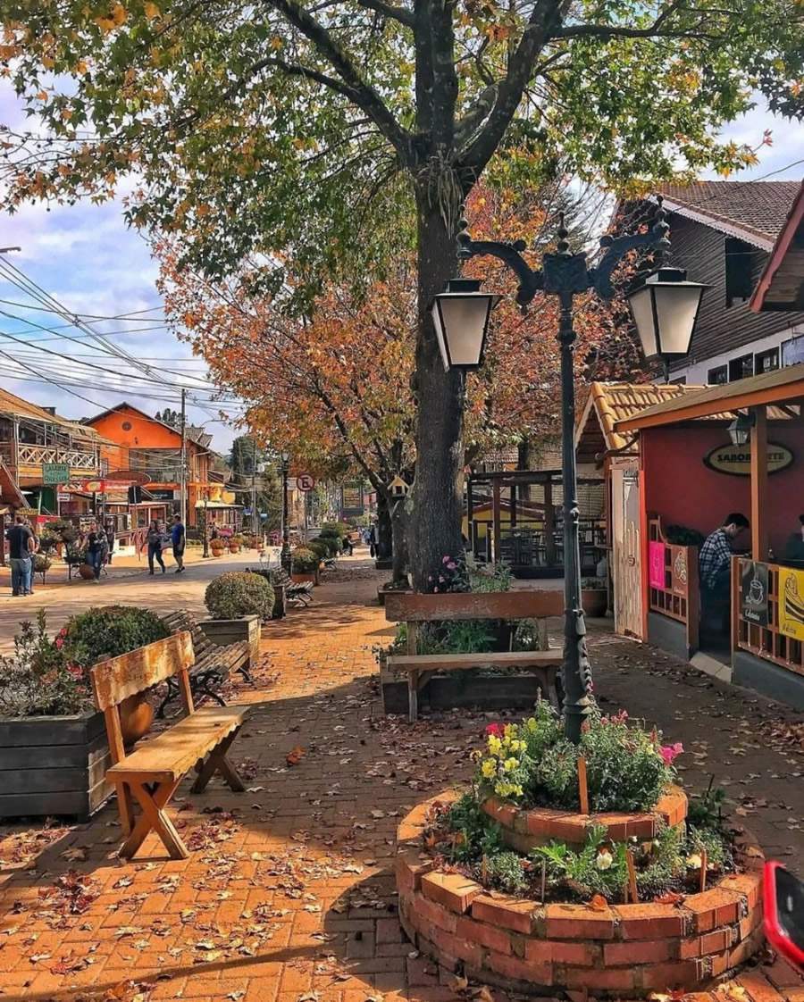 Créditos: Tom Araujo