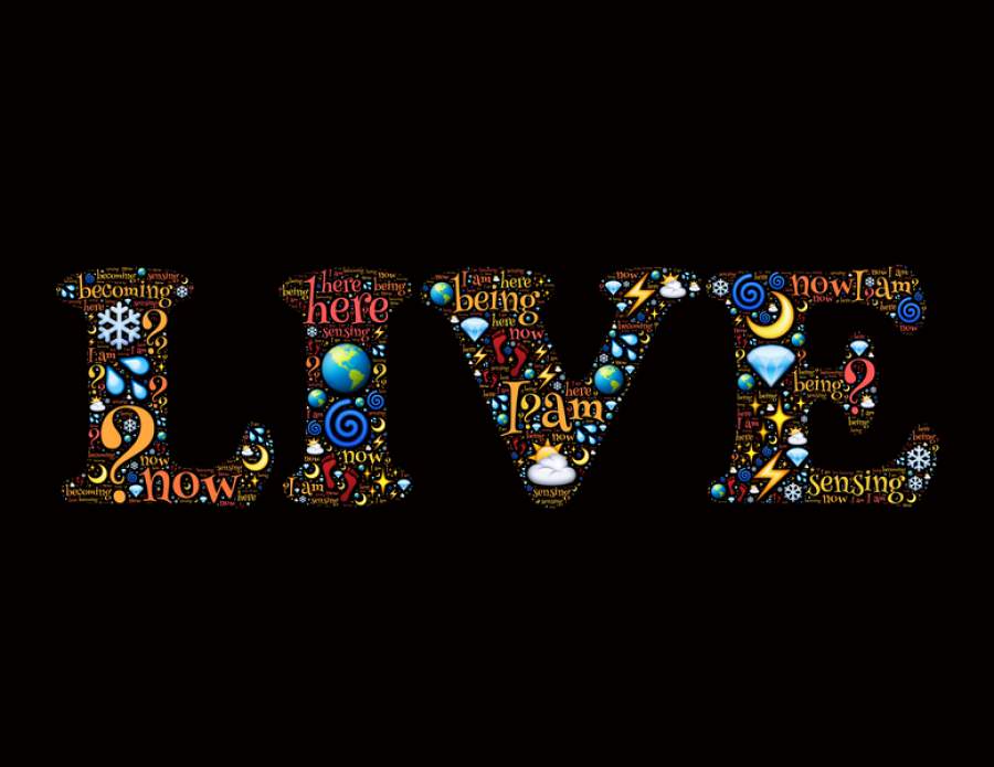 Live da Porto Seguro Destaca o Retorno Seguro e as Novidades do Porto Sa&uacute;de