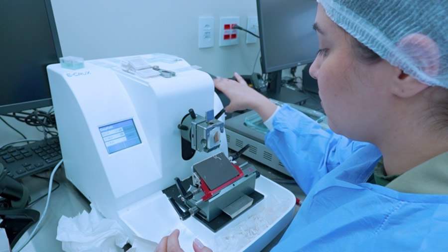 Nucleo Anatomia Patol&oacute;gica - Cr&eacute;dito: Divulga&ccedil;&atilde;o 