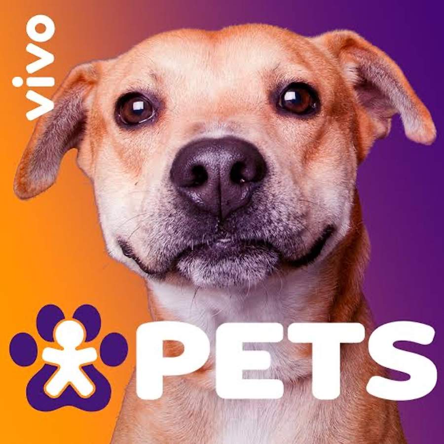 Vivo amplia a&ccedil;&otilde;es pet friendly e j&aacute; chega a mais de 180 lojas f&iacute;sicas com espa&ccedil;o para animais de estima&ccedil;&atilde;o