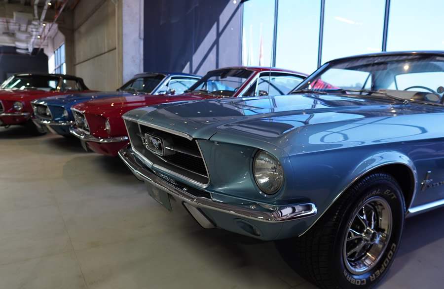 Ala dos Mustangs - Dream Car Museum - Foto Carolina Loppo (Divulgação)