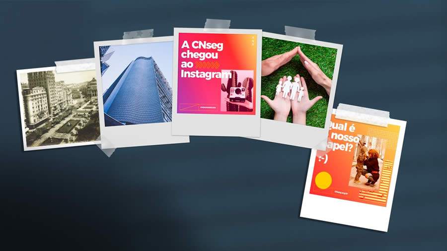CNseg no Instagram