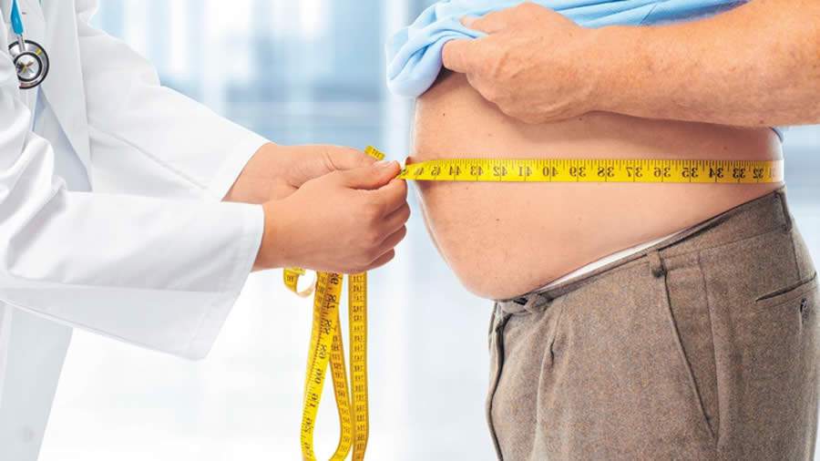 Problema da obesidade afeta cerca de 700 milh&otilde;es de pessoas no mundo