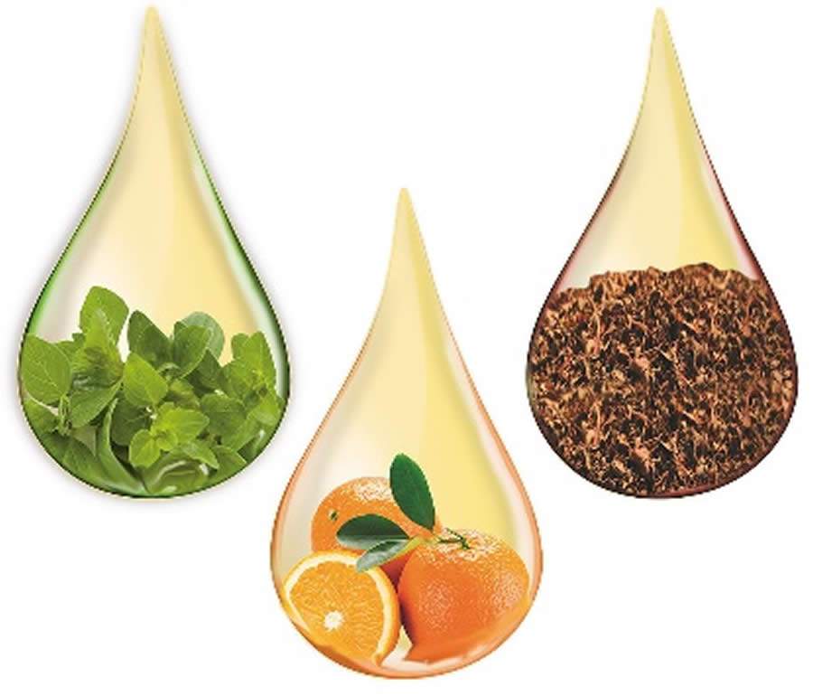 Aditivos fitog&ecirc;nicos s&atilde;o op&ccedil;&otilde;es ao bom desempenho dos animais sem o uso de antibi&oacute;ticos