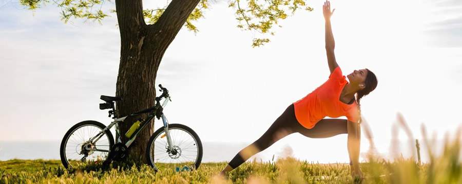 divulga&ccedil;&atilde;o