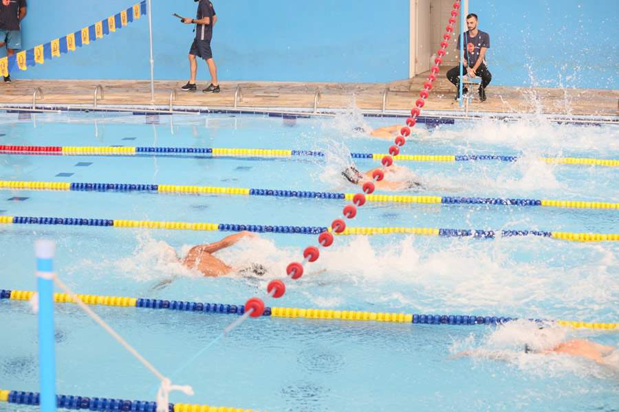 Divulga&ccedil;&atilde;o