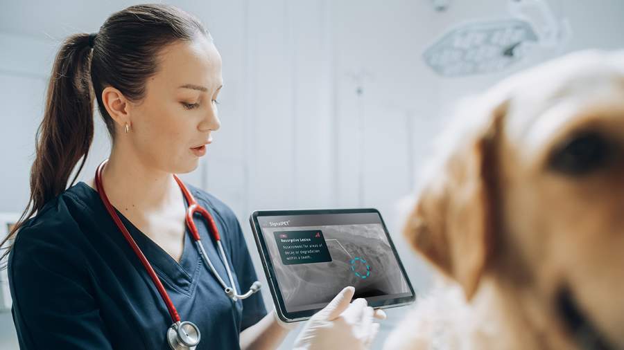  A velocidade nas respostas é a primeira grande vantagem proporcionada pela Inteligência Artificial aos médicos-veterinários - Imagem: AdobeStock