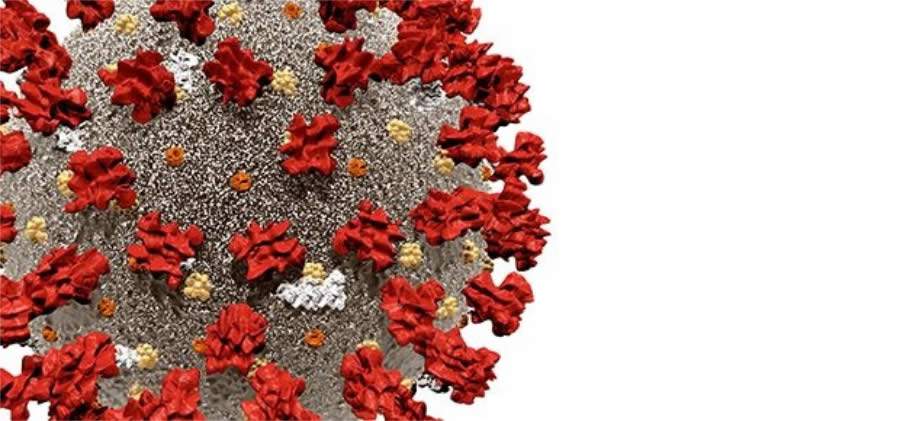 Milh&otilde;es de benefici&aacute;rios de planos de sa&uacute;de est&atilde;o no grupo de risco do Coronav&iacute;rus