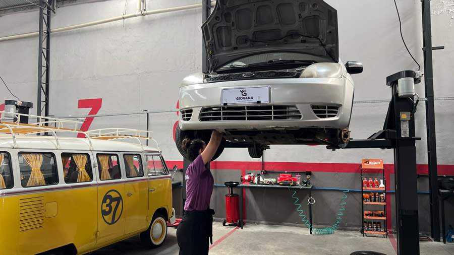 Acervo pessoal Giovana Toso