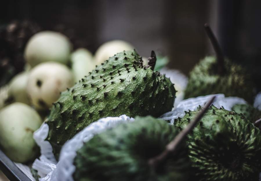 Graviola - Divulgação