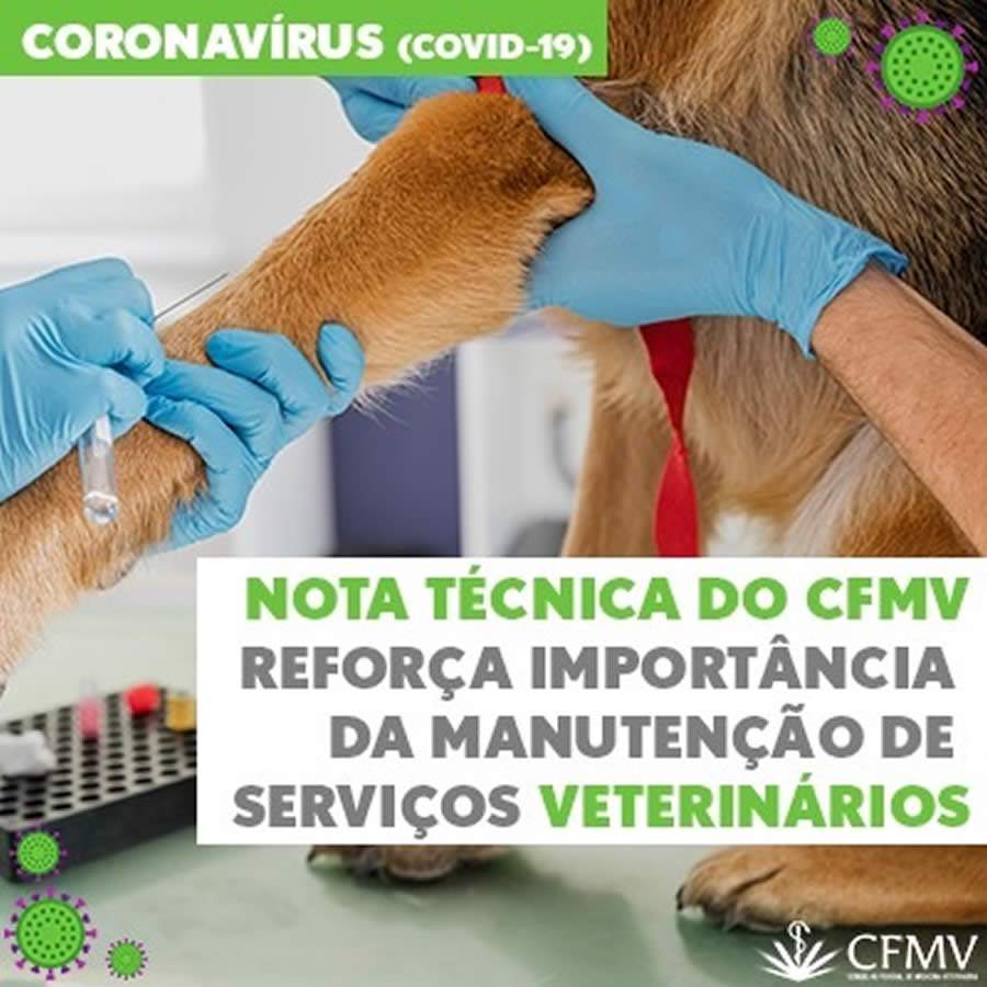 CFMV reforça importância da manutenção de serviços veterinários
