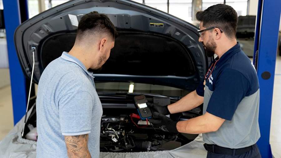 Cr&eacute;dito: Divulga&ccedil;&atilde;o