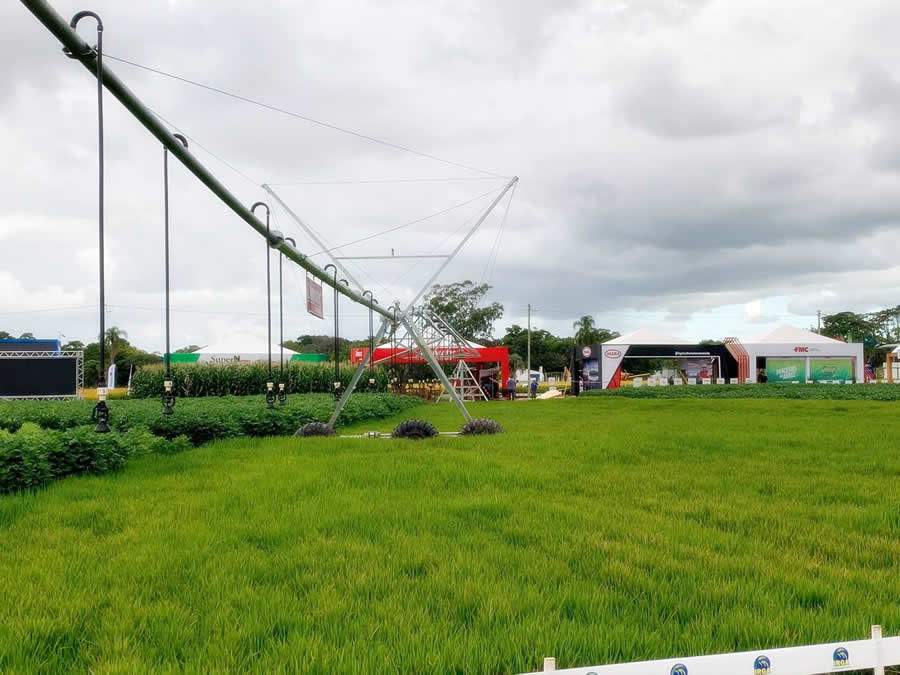 Irrigação é alternativa aos arrozeiros na produção de novos cultivos