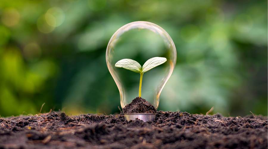 Divulga&ccedil;&atilde;o