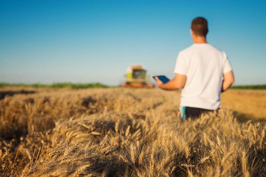 Em apenas um ano, plataforma da BB Seguros com marketplace focado em agroneg&oacute;cios registra mais de 200 mil acessos