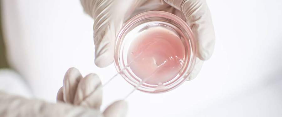 Evonik cria um novo instituto de pesquisa dedicado &agrave;s ci&ecirc;ncias da pele: Evonik Skin Institute