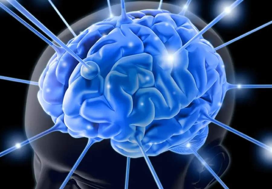Dia Mundial do C&eacute;rebro foi institu&iacute;do em 22 de julho para alertar &agrave; popula&ccedil;&atilde;o sobre as quest&otilde;es que envolvem este &oacute;rg&atilde;o - Kiyoshi Takahase Segundo/Getty Images/iStockphoto